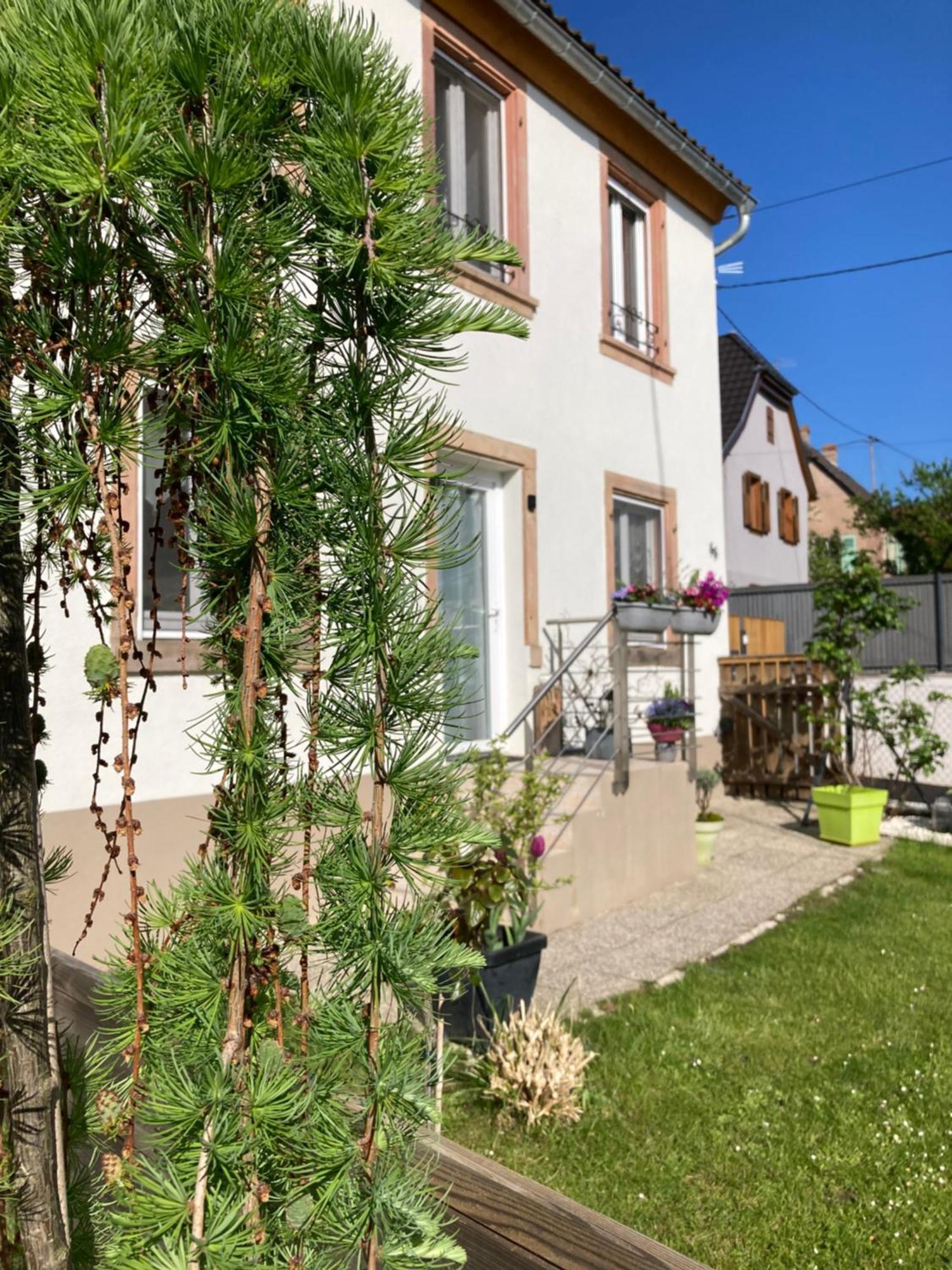 Gîte Le 1602 Saint-Nabor Extérieur photo